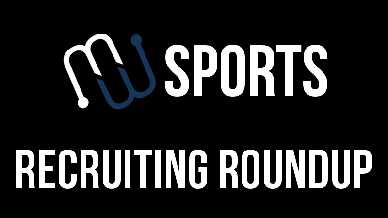 STEPPE: Elliott's recruitment geographically significant